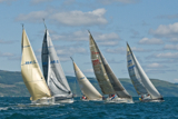 ss12 sun 11417